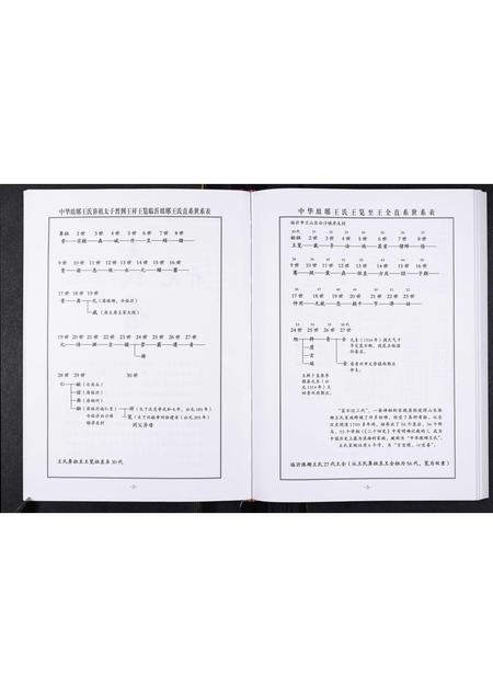 山东王氏-中华琅琊王氏淄川区土泉支系谱志.pdf电子版预览图5