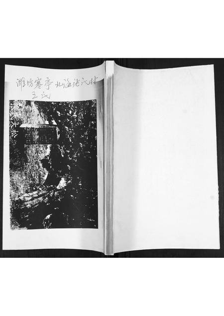 山东王氏-北海张氏村王氏.pdf电子版缩略图