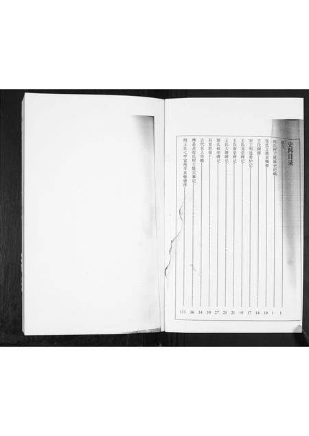 山东王氏-北海张氏村王氏.pdf电子版预览图1