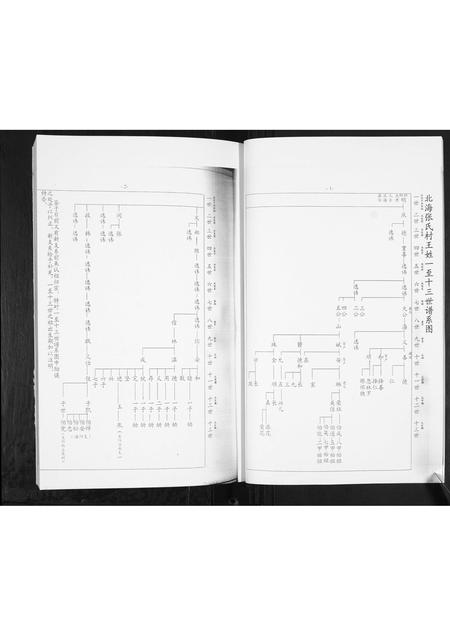 山东王氏-北海张氏村王氏.pdf电子版预览图3