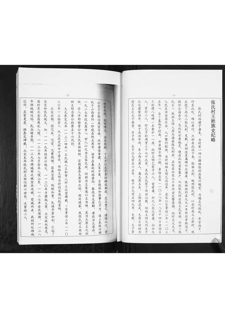 山东王氏-北海张氏村王氏.pdf电子版预览图4