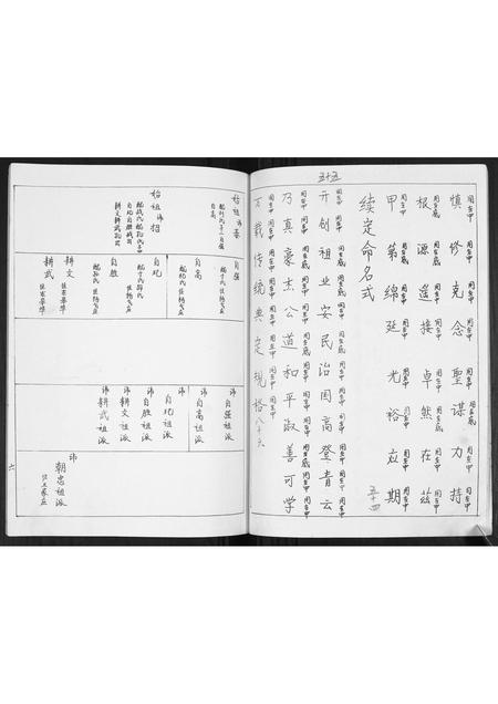 山东王氏-即墨王家庄王氏族谱.pdf电子版预览图5