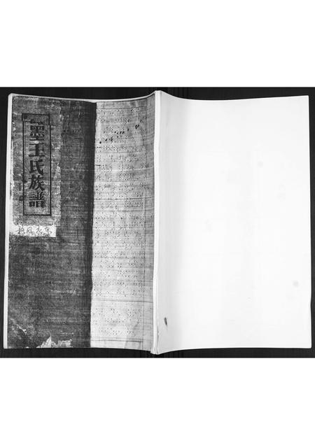 山东王氏-即墨王氏族谱.pdf电子版缩略图