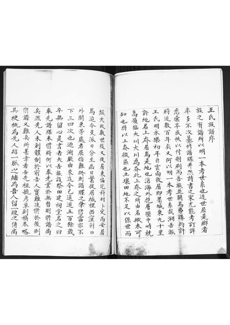 山东王氏-即墨王氏族谱.pdf电子版预览图2