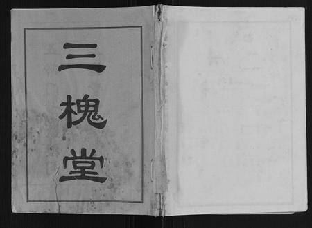 山东王氏-古沛王氏族谱.pdf电子版缩略图