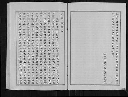 山东王氏-古沛王氏族谱.pdf电子版预览图3