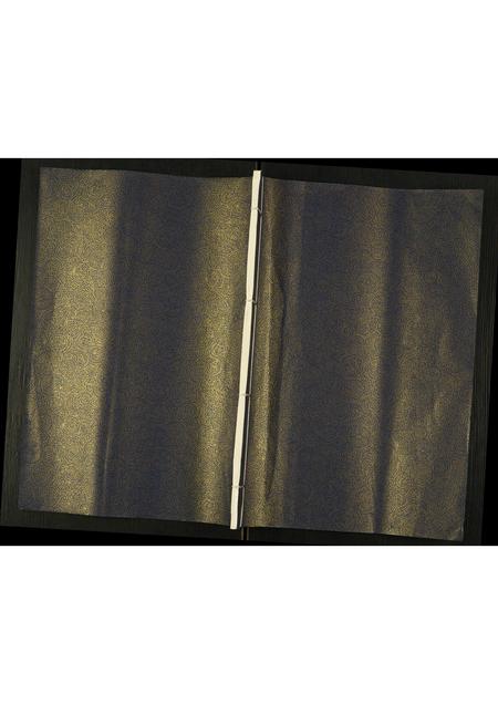 山东王氏-城律王氏家乘.pdf电子版缩略图