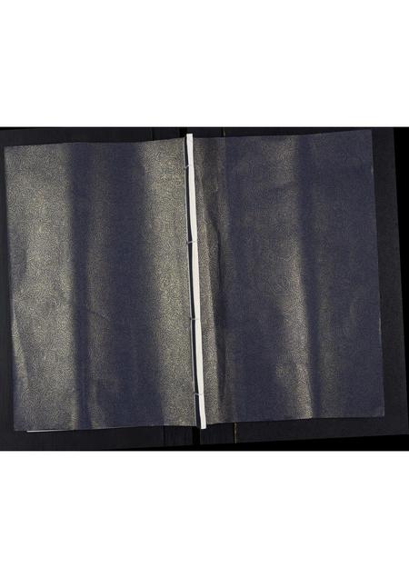 山东王氏-城律王氏家乘.pdf电子版缩略图