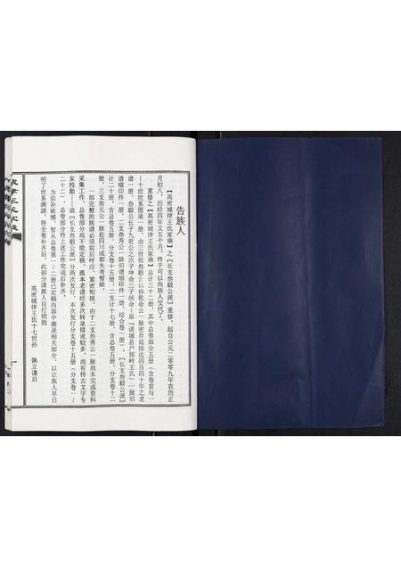 山东王氏-城律王氏家乘.pdf电子版预览图1