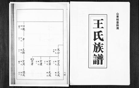 山东王氏-山东桓台斜沟王氏族谱[6卷](别名：Shan Dong Huan Tai Xie Guo Wang Shi Zu Pu).pdf电子版缩略图