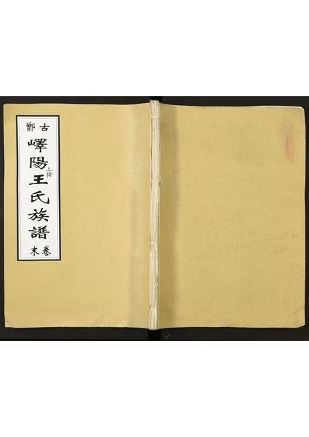 山东王氏-峄阳王楼王氏族谱.pdf电子版缩略图