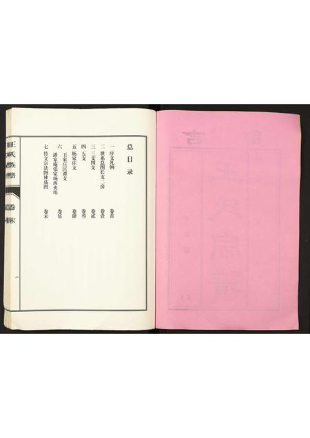 山东王氏-峄阳王楼王氏族谱.pdf电子版预览图2