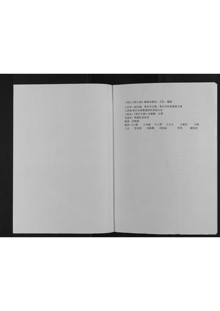 山东王氏-枣庄王姓大典[不分卷].pdf电子版预览图1