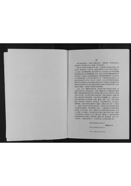 山东王氏-枣庄王姓大典[不分卷].pdf电子版预览图2