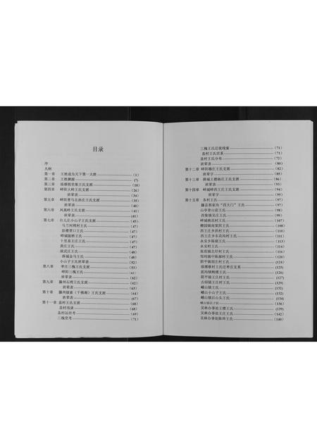 山东王氏-枣庄王姓大典[不分卷].pdf电子版预览图3
