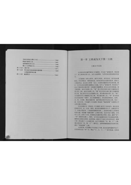 山东王氏-枣庄王姓大典[不分卷].pdf电子版预览图4