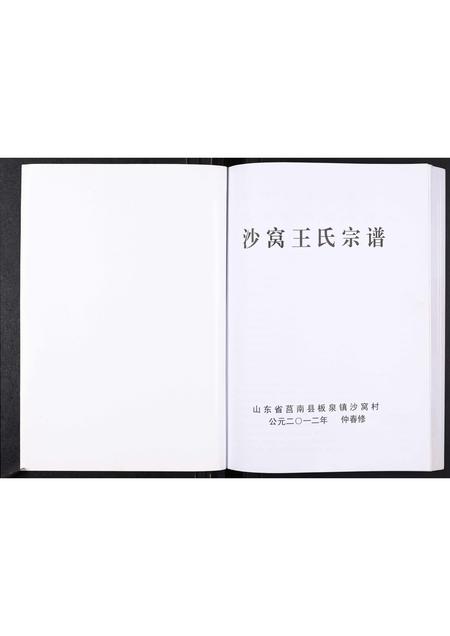 山东王氏-沙窝王氏宗谱[10卷].pdf电子版预览图1
