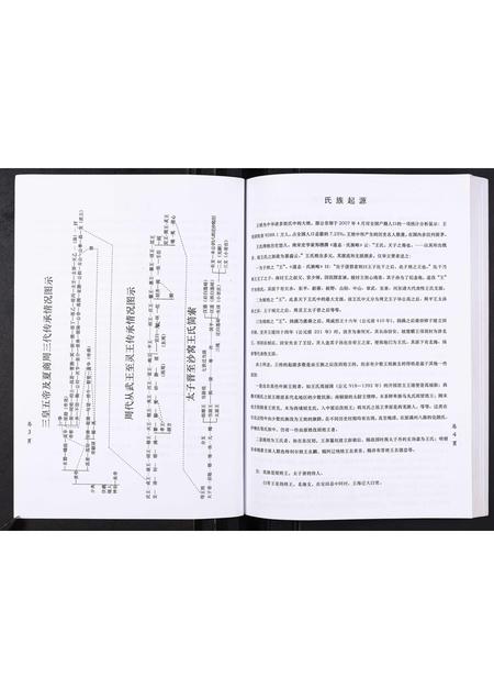 山东王氏-沙窝王氏宗谱[10卷].pdf电子版预览图5