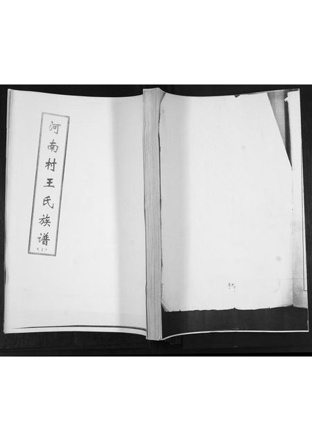 山东王氏-河南村王氏族谱.pdf电子版缩略图
