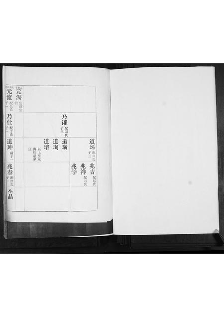 山东王氏-河南村王氏族谱.pdf电子版预览图1