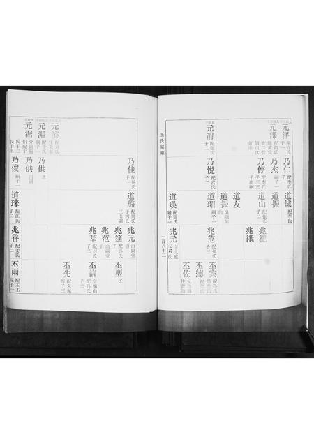 山东王氏-河南村王氏族谱.pdf电子版预览图2