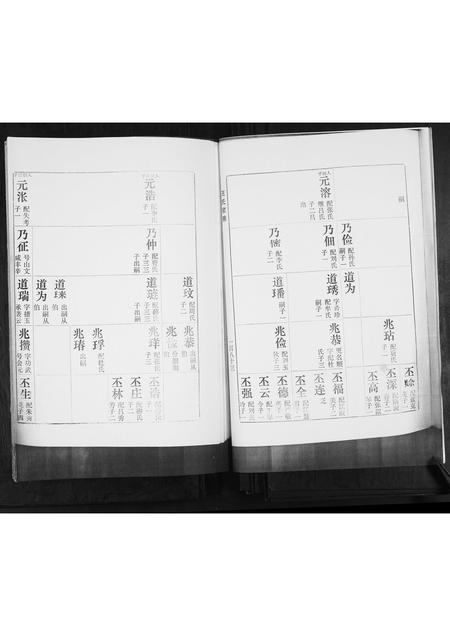 山东王氏-河南村王氏族谱.pdf电子版预览图3