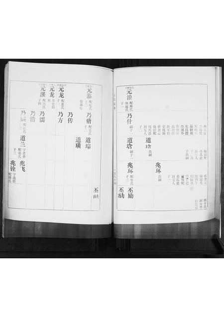 山东王氏-河南村王氏族谱.pdf电子版预览图4