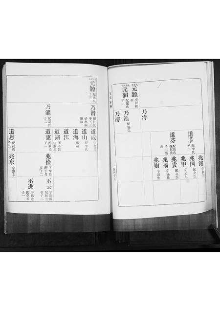 山东王氏-河南村王氏族谱.pdf电子版预览图5