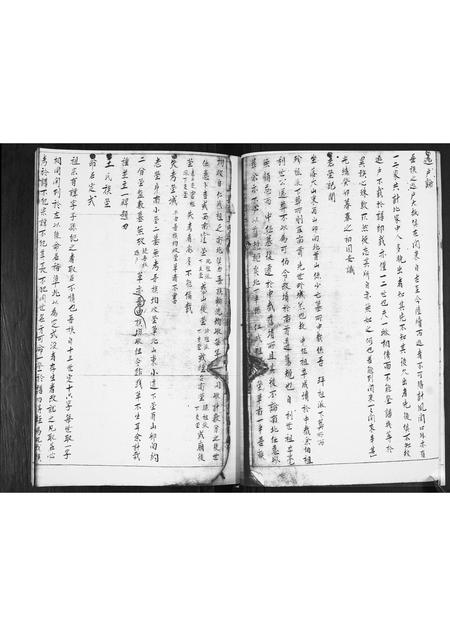 山东王氏-王哥庄王氏谱书.pdf电子版预览图4