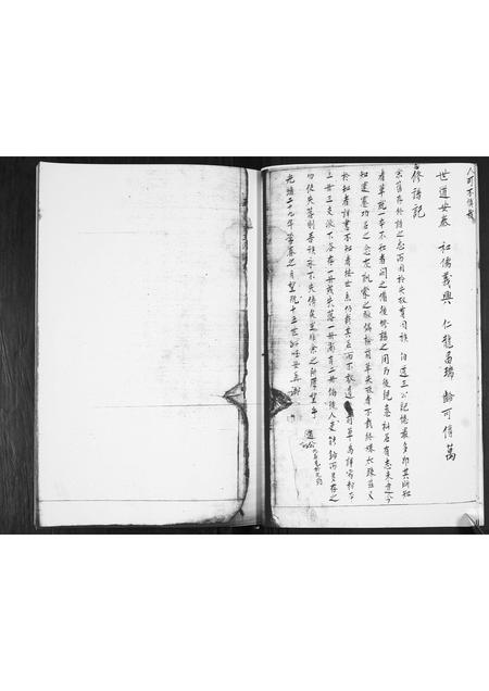 山东王氏-王哥庄王氏谱书.pdf电子版预览图5