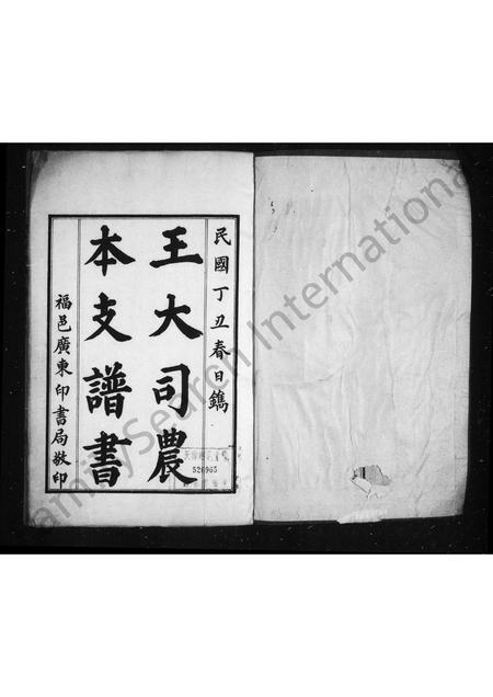 山东王氏-王大司农本支谱书 [2卷](别名：王氏大司农本支谱书).pdf电子版预览图1