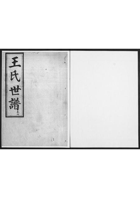 山东王氏-王氏世谱.pdf电子版缩略图