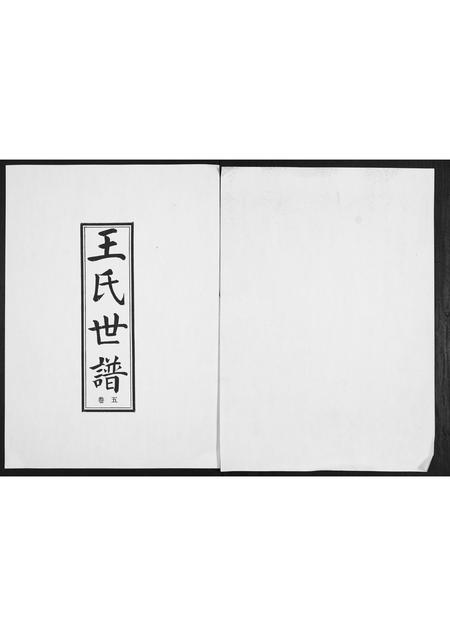 山东王氏-王氏世谱[5卷].pdf电子版缩略图