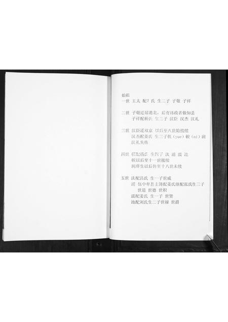 山东王氏-王氏四支家谱.pdf电子版预览图4