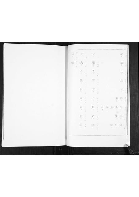 山东王氏-王氏四支家谱.pdf电子版预览图5