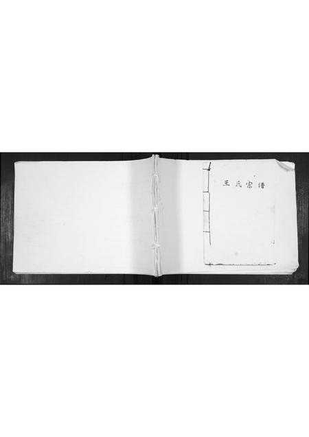 山东王氏-王氏宗谱.pdf电子版缩略图