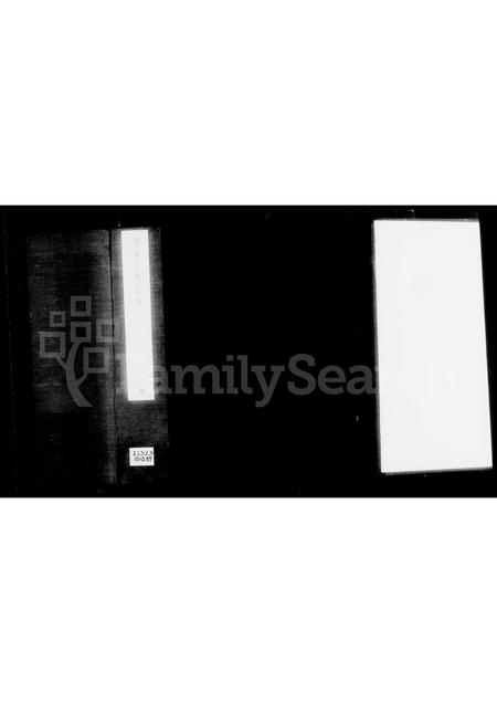 山东王氏-王氏宗谱(别名：馆陶王氏宗谱).pdf电子版预览图4