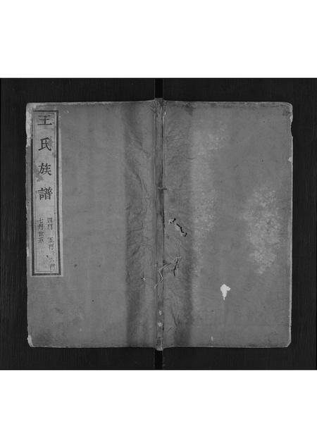 山东王氏-王氏宗谱[不分卷](别名：Wang Shi Zong Pu).pdf电子版缩略图