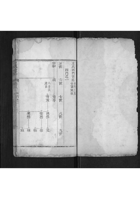 山东王氏-王氏宗谱[不分卷](别名：Wang Shi Zong Pu).pdf电子版预览图1