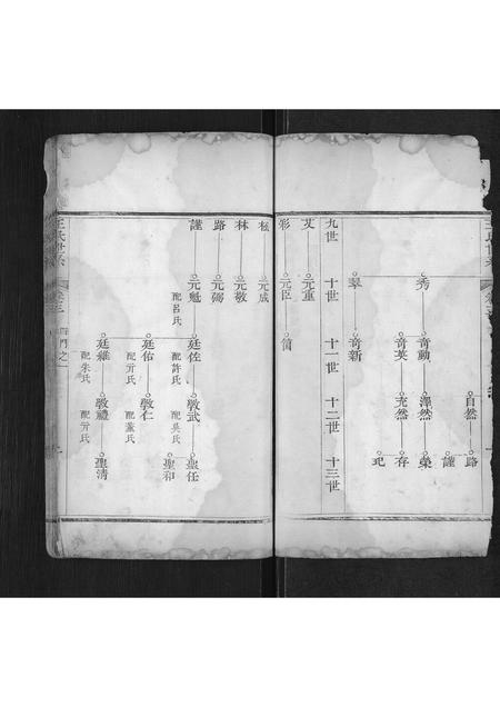 山东王氏-王氏宗谱[不分卷](别名：Wang Shi Zong Pu).pdf电子版预览图2