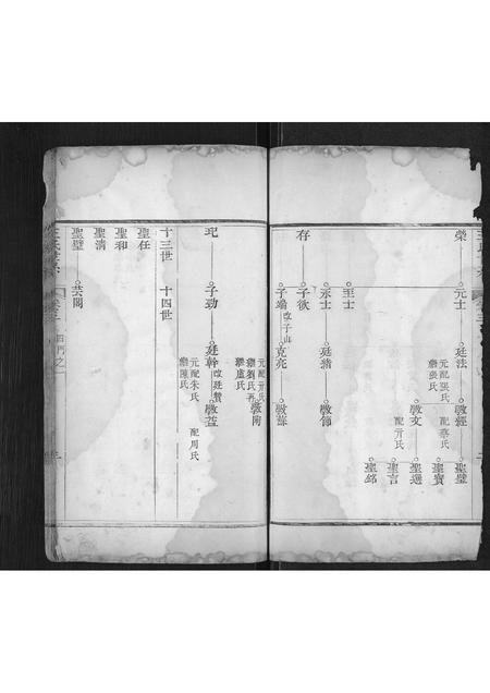 山东王氏-王氏宗谱[不分卷](别名：Wang Shi Zong Pu).pdf电子版预览图3