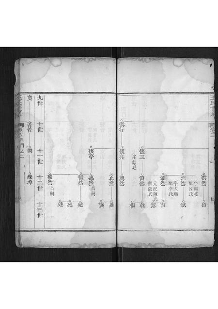 山东王氏-王氏宗谱[不分卷](别名：Wang Shi Zong Pu).pdf电子版预览图5