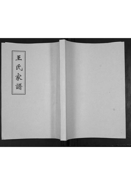 山东王氏-王氏家谱.pdf电子版缩略图