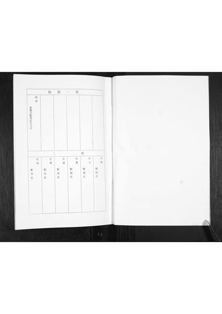 山东王氏-王氏家谱.pdf电子版预览图2