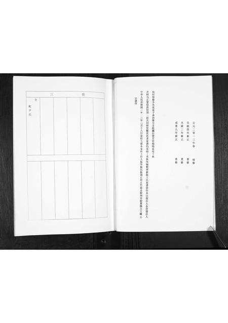 山东王氏-王氏家谱.pdf电子版预览图3