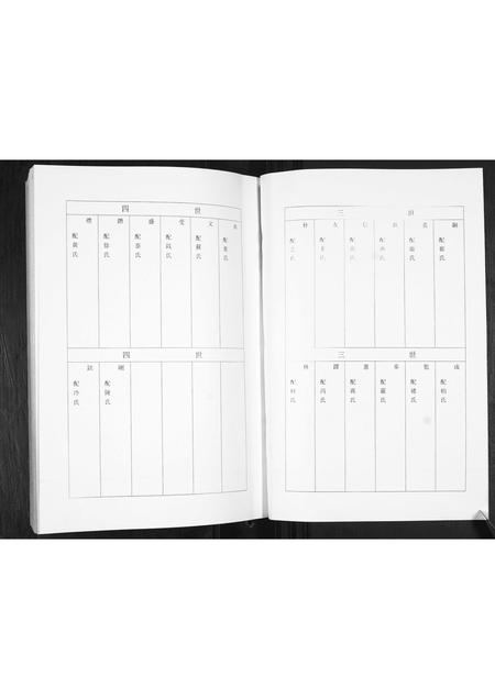 山东王氏-王氏家谱.pdf电子版预览图4