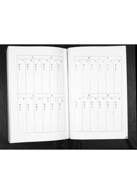 山东王氏-王氏家谱.pdf电子版预览图5