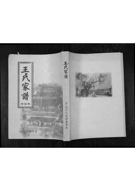 山东王氏-王氏家谱[1册](别名：Wang Shi Jia Pu).pdf电子版缩略图
