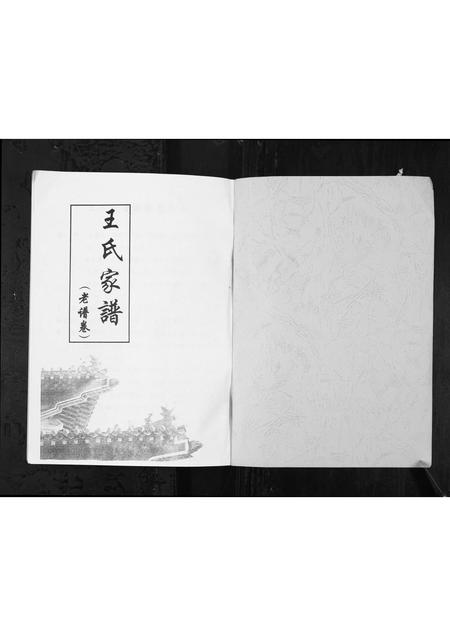 山东王氏-王氏家谱[1册](别名：Wang Shi Jia Pu).pdf电子版预览图1