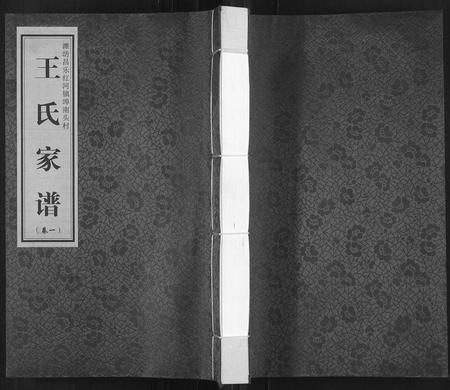 山东王氏-王氏家谱[6卷](别名：Wang Shi Jia Pu).pdf电子版缩略图